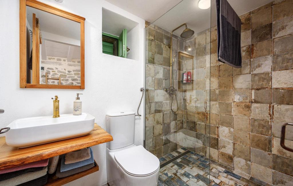 Ema Apartment Buzet